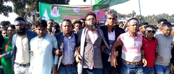 বাজিতপুরে বিএনপির বিজয় র‌্যালী ও সমাবেশ