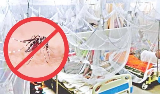 দেড় মাস পর ডেঙ্গুতে আবারও মৃত্যু