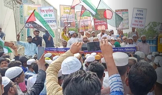 গাজায় গণহত্যার প্রতিবাদে পোরশায় বিক্ষোভ মিছিল ও সমাবেশ