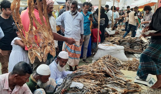 নাসিরনগরের ঐতিহ্যবাহী শুঁটকি মেলা