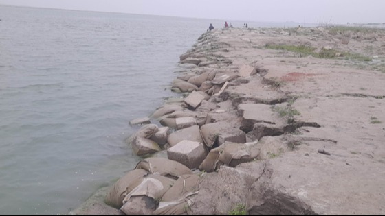 সুজানগরে অসময়ে পদ্মা নদীতে ভাঙ্গন