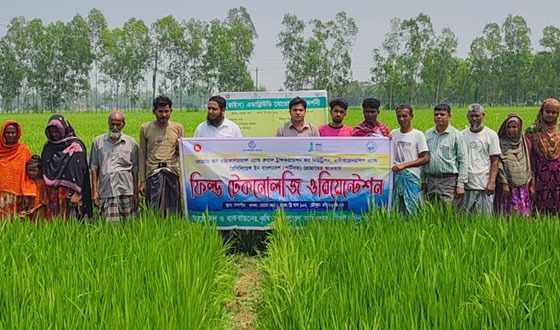 বিরলে এডাব্লিউডি প্রযুক্তির আওতায় প্রায় ৪শত হেক্টর জমিতে চাষাবাদ