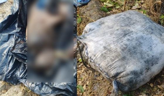 আশাশুনিতে মাটির নিচে পুতে রাখা ব্যবসায়ীর লাশ উত্তোলন