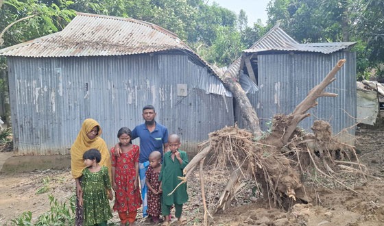 দুর্গাপুরে কালবৈশাখী ঝড়ের গাছ ভেঙে পড়েছে বসত ঘরে