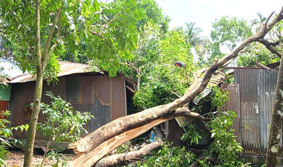 দুর্গাপুরে কালবৈশাখী ঝড় ব্যপক ক্ষতি, প্রাণে বাঁচলো পরিবারের সদস্যরা
