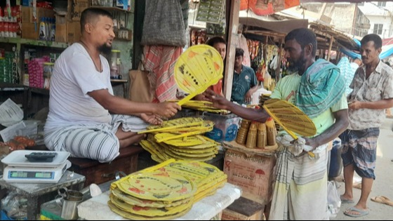 সুজানগরে তালের পাখার কদর বাড়ছে