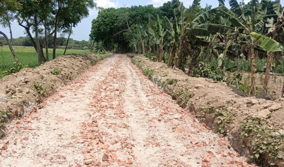 শৈলকুপায়  নিন্মামানের সামগ্রী দিয়ে সড়ক নির্মাণের অভিযোগ
