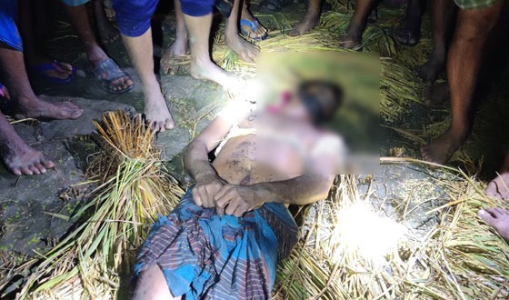 ঝিনাইদহে মাঠ থেকে কৃষকের লাশ উদ্ধার