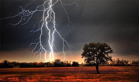 কুমারখালীতে মাঠে ধান কাটার সময় বজ্রপাতে কৃষকের মৃত্যু