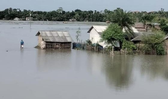 পাইকগাছায় জলাবদ্ধতায় আমন আবাদে শঙ্কা