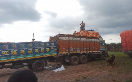 শুল্ক জটিলতা কাটিয়ে খালাশ হচ্ছে আমদানিকৃত চাল