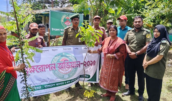 তালায় আনসার-ভিডিপির উদ্যোগে বৃক্ষরোপণ অভিযান