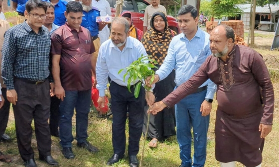 তানোরে অতিরিক্ত বিভাগীয় কমিশনারের সরকারি দপ্তর পরিদর্শন ও বৃক্ষরোপণ