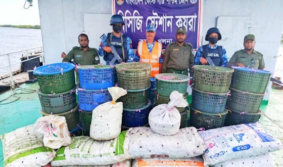 সুন্দরবনের কয়রায় কোস্ট গার্ডের অভিযানে অবৈধ কাঁকড়া জব্দ