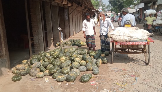 মধুখালীতে মিষ্টি কুমড়ার হাট জমজমাট