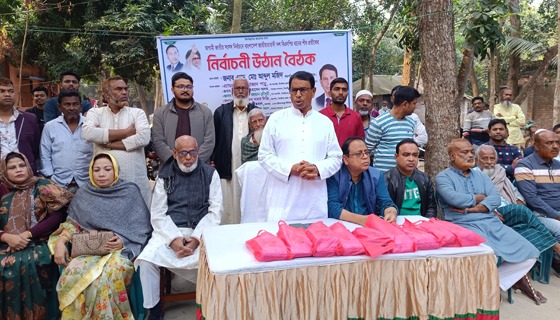 ঝিনাইদহে মহিলা দলের নির্বাচনী উঠান বৈঠক