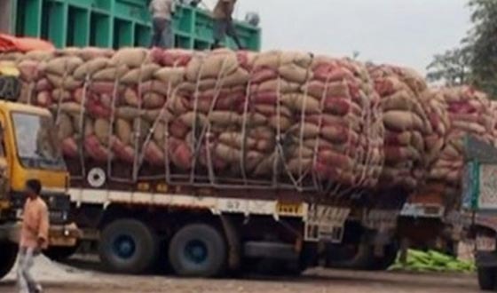 সাতক্ষীরায় পেঁয়াজের দাম কেজিতে কমল ৩০ টাকা