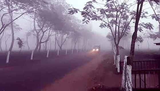 শ্রীমঙ্গলে তাপমাত্রার পারদ নেমে ১০ ডিগ্রিতে