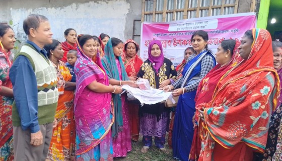 যুব সংগঠনের পক্ষ থেকে হস্তশিল্পের উপকরণ বিতরণ
