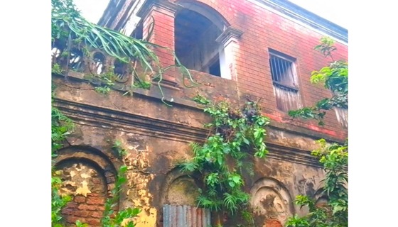 প্রত্মসম্পদ ঘোষিত শৈলকুপায় ইলা মিত্রের পৈত্রিক ভিটাবাড়ি যাওয়ার রাস্তা শুধু নামফলকেই