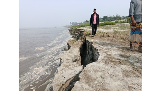 বগুরা সারিয়াকান্দিতে অসময়ে যমুনা নদীর ভাঙনে দিশেহারা মানুষ