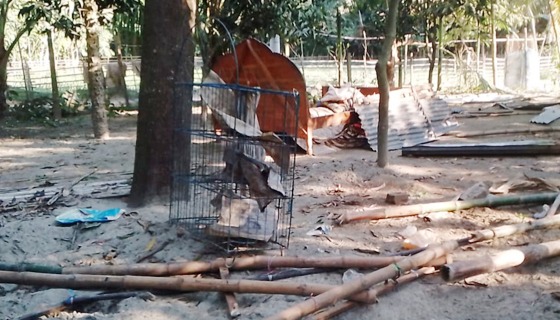 গাবতলীতে বসতবাড়িতে ‎হামলা ভাংচুর, আহত ২