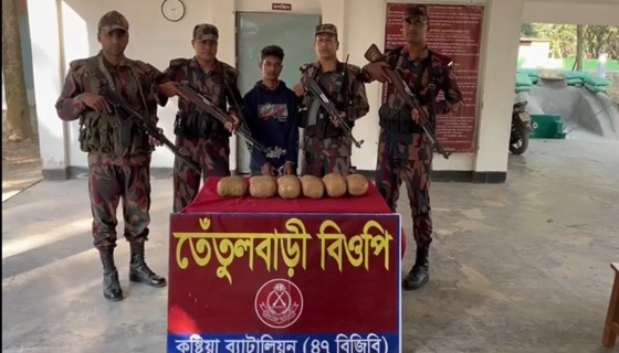 গাংনী সীমান্তে ৬ কেজি গাঁজা সহ মাদক ব্যবসায়ী গ্রেফতার