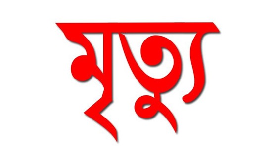 শৈলকুপায় বিদ্যুৎ স্পৃষ্টে গৃহবধূর মৃত্যু