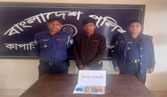 কাপাসিয়ায় ইয়াবাসহ মাদক কারবারি গ্রেফতার