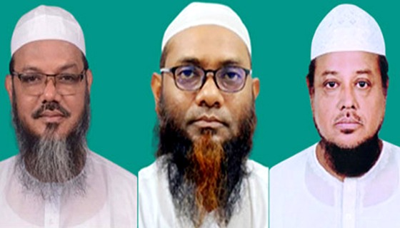 নির্বাচনী মাঠে প্রার্থী হয়েছেন তিন ভাই