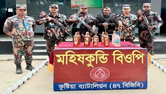 দৌলতপুর সীমান্তে ভারতীয় মাদক সহ আটক ১