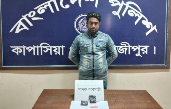 কাপাসিয়ায় ৪'শ পিস ইয়াবাবড়িসহ মাদক কারবারি গ্রেফতার