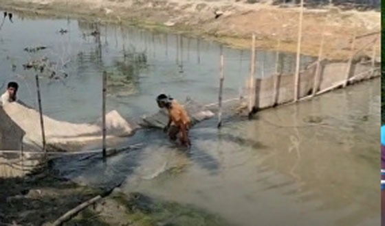 আনুলিয়ার একসরা স্লুইস গেট সংলগ্ন দুই কিলোমিটার খাল উন্মুক্ত