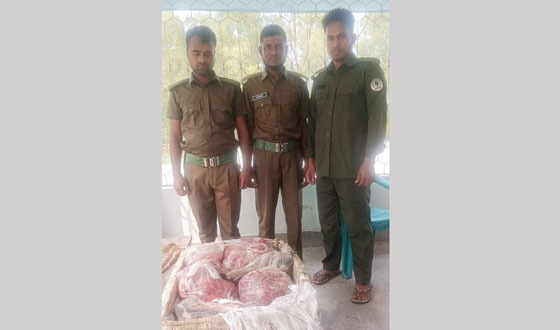 বন বিভাগের অভিযানে ৯০ কেজি হরিণের মাংস জব্দ