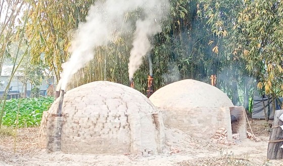 নীলফামারীতে কাঠ পুড়িয়ে কয়লা তৈরি, হুমকিতে পরিবেশ