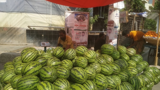 রাজশাহীতে হাট-বাজারে নতুন তরমুজ, চাহিদা কম ক্রেতাদের