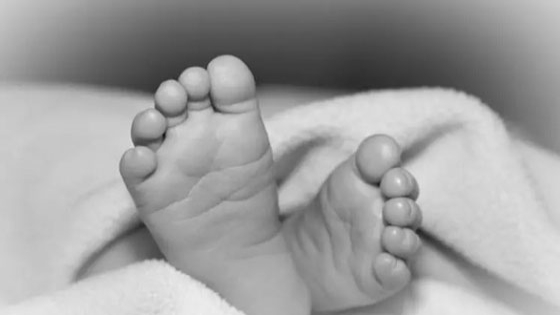 রাজশাহীতে অটোরিকশা থেকে ছিটকে পড়ে শিশুর মৃত্যু