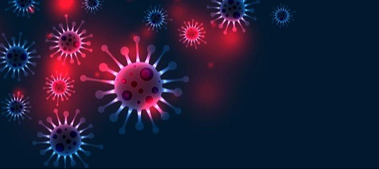 এইচএমপিভি কি? যেভাবে ছড়ায় এই ভাইরাস