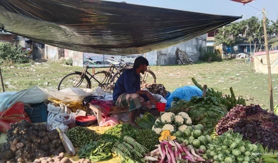 তালায় পানির দামে বিক্রি হচ্ছে সবজি হতাশ কৃষক