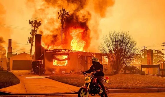 দাবানলে ঘরবাড়ি হারালেন যে হলিউড তারকারা