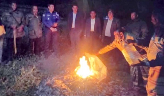 ডুমুরিয়ায় ৩০০ কেজি পুশকৃত চিংড়ি জব্দ করে বিনষ্ট