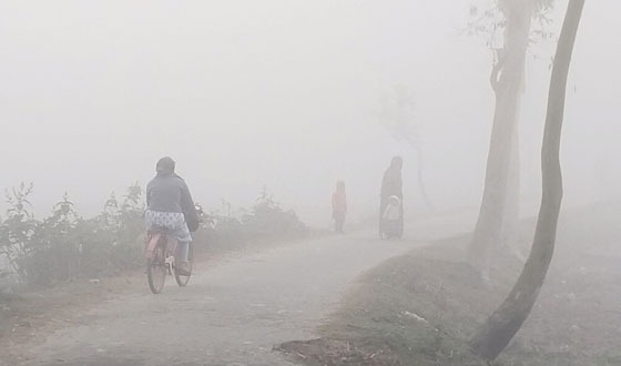 শীতের দাপটে বিপর্যস্ত হয়ে পড়েছে রাজারহাট