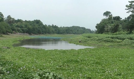 কোদলা নদীর সীমান্তের জমি উদ্ধার করলো বিজিবি
