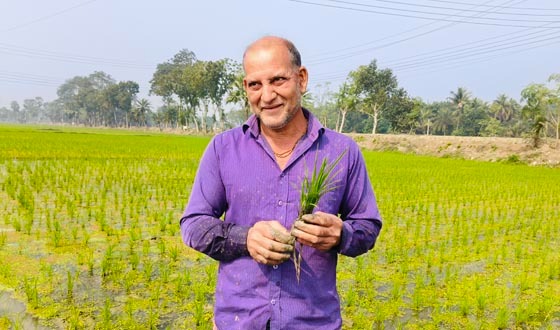 কালীগঞ্জে ১৫০ বিঘা জমির বোরো ধান চাষে সাশ্রয় ১৫ লাখ টাকা