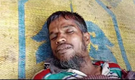 কালিগঞ্জে গাছ কাটতে যেয়ে শ্রমিকের মৃত্যু