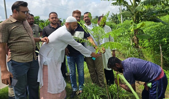 মণিরামপুর মহাসড়কে পথচারীদের জন্য শ্যামল ছায়া পরিবেশ