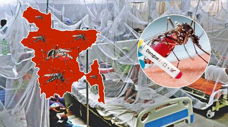 ডেঙ্গুতে ২৪ ঘণ্টায় এক মৃত্যু, হাসপাতালে ভর্তি ৪০৬