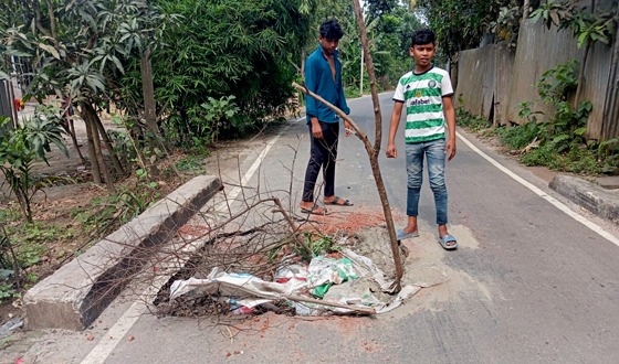 হোমনায় সংস্কারের অভাবে মুখ থুবড়ে পড়ল কালভার্ট