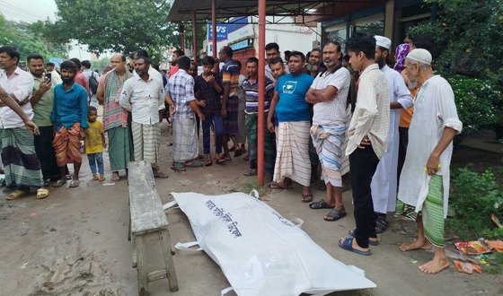 ট্রাক চাপায় অটোভ্যান চালকের মৃত্যু