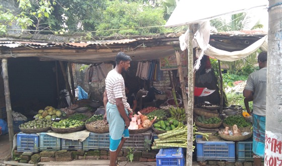 সবজির সরবরাহ বাড়লেও দাম কমেনি